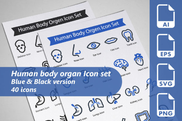 Human Body Organ Graphics for Digital Sellers